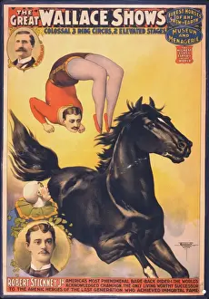 The great Wallace shows: colossal 3 ring circus, 2 elevated