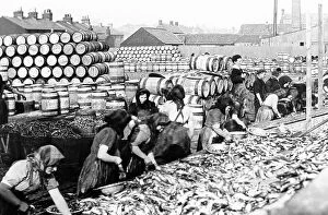 Scotch Collection: Great Yarmouth fish girls early 1900s