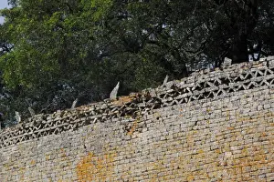 Environment Prints: Great Zimbabwe Wall - Great Zimbabwe