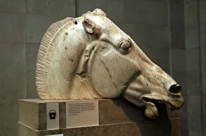 Greece. Athens. Parthenon. Head of horse from the chariot of