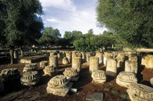 Elis Prints: GREECE. WESTERN GREECE. ELIS. Olympia. Archaeological