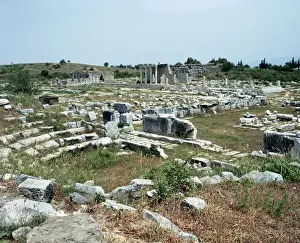Ionia Prints: Greek art. Asia Minor. Miletus. The senate building or Boule