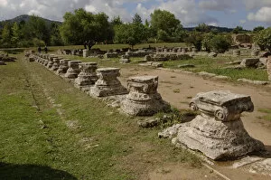 Images Dated 6th June 2007: Greek Art. Leonidaion. Ionic capitals. Olympia. Greece