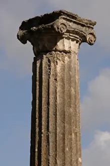 Greek Art. Sanctuary of Olympia. Ionic column at the Palaest
