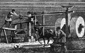 Olives Prints: Greek Olive Mill