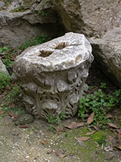 Images Dated 2007 January: 25 Jan 2007 Collection
