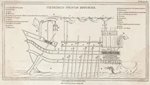 Sections Prints: Greek Trireme