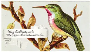 Green bird on a Christmas card