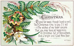 Green ferns and white flower on a Christmas card