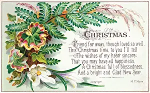 Leafy Prints: Green ferns and white flower on a Christmas card
