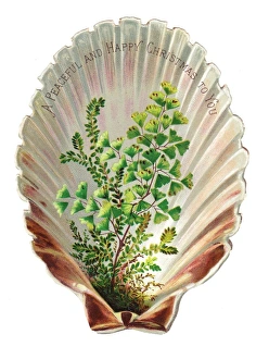 Christmas card in the shape of a shell