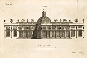 Images Dated 16th June 2014: Green-house