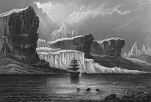 Images Dated 15th June 2011: Greenland Melville