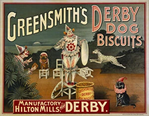 Posters Gallery: Greensmiths Derby Dog Biscuits