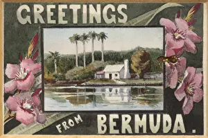 Lagoon Prints: Greetings from Bermuda