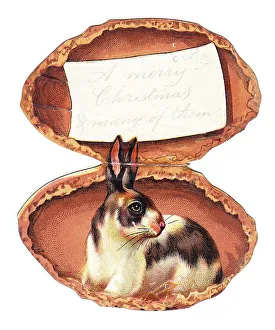 Images Dated 15th May 2018: Greetings card in the shape of an almond