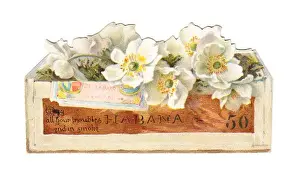Habana Prints: Greetings card in the shape of a cigar box