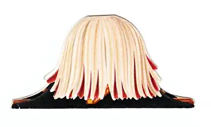 Cocked Prints: Greetings card in the shape of a cocked hat with plume