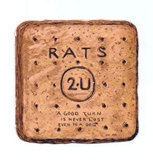 Rats Gallery: Greetings card in the shape of a dog biscuit