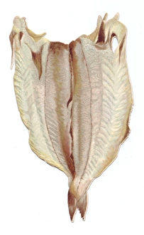 Images Dated 4th December 2015: Greetings card in the shape of filleted white fish