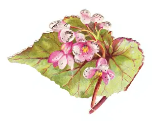 Veins Prints: Greetings card in the shape of a green leaf with flowers