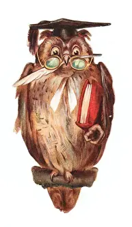 Greetings card in the shape of an owl