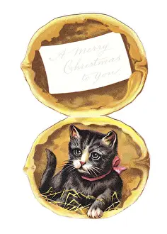 Walnuts Prints: Greetings card in the shape of a walnut