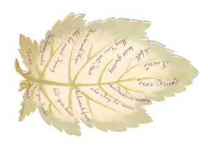 Veins Prints: Greetings card in the shape of a white leaf