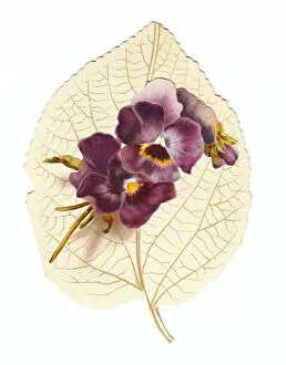 Greetings card in the shape of a white leaf with pansies