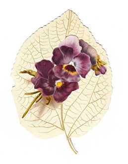 Pansies Gallery: Greetings card in the shape of a white leaf with pansies