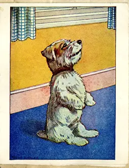 Greetings card, Terrier dog sitting up and begging