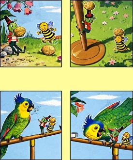 Images Dated 16th October 2006: Gregory Grasshopper