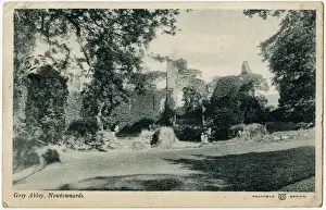 Ivy Clad Prints: Grey Abbey, Newtownards, Ards Peninsula, Northern Ireland