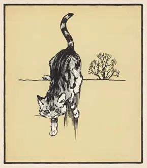Al Din Prints: Grey Cat on Wall Aldin