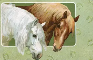 Manes Prints: A Grey and a Chesnut horse
