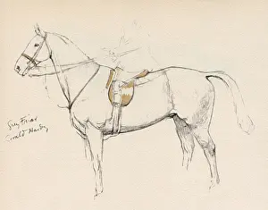 Huntsman Prints: Grey Friar, horse belonging to Mr Gerald Hardy
