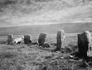 Pre Historic Prints: The Grey Wethers