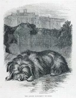 Death Collection: Greyfriars Bobby