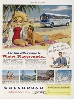 Greyhound Coach