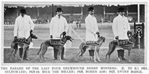 Derby Collection: Four Greyhound Derby winners