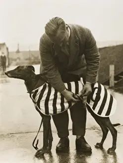 Greyhound Overcoat
