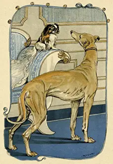 Greyhound and Pekingese