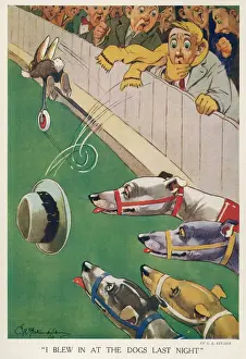 Greyhound Racing