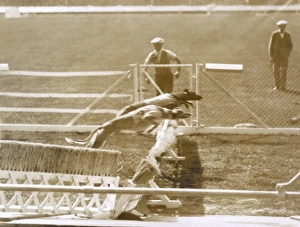 Images Dated 16th December 2011: Greyhound racing