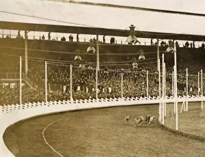 Images Dated 16th December 2011: Greyhound racing
