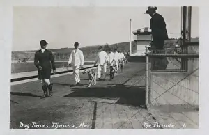 Parading Prints: Greyhound racing, Tijuana, Mexico