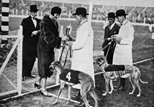 Images Dated 23rd April 2012: Greyhound racing at White City, 1927