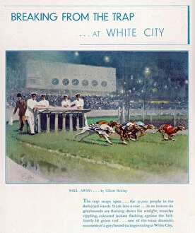 Images Dated 21st December 2010: Greyhound Racing at White City