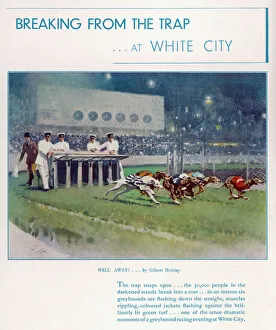 Images Dated 21st December 2010: Greyhound Racing at White City