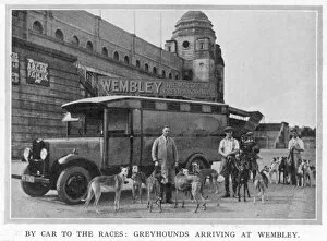 Wembley Gallery: Greyhounds arriving at Wembley by car